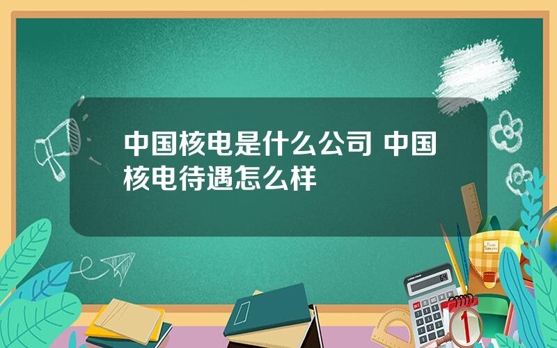 中国核电是什么公司 中国核电待遇怎么样